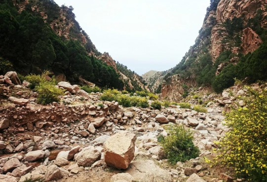 文化團(tuán)建 | 徒步陽光下 歡樂萬創(chuàng)戶外行