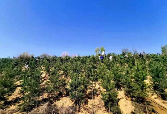 【公益】萬創(chuàng)集團(tuán)植樹造林為鄂爾多斯綠水青山添彩助力