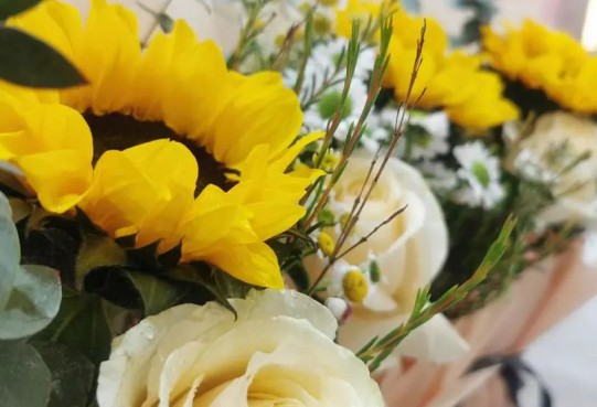 花漾女神節(jié) 書香能致遠(yuǎn) | 萬創(chuàng)集團(tuán)開展“三·八”國際勞動婦女節(jié)活動