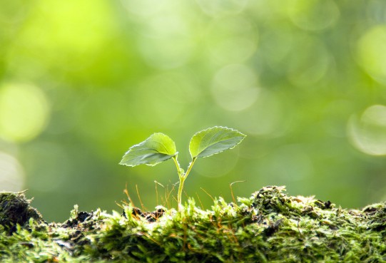 評論 | 構(gòu)建“家”文化 打造幸福企業(yè)