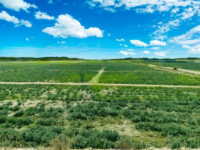 萬(wàn)創(chuàng)集團(tuán)物華煤礦通過自治區(qū)綠色礦山驗(yàn)收