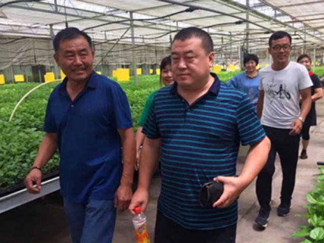 一線辦公 | 集團(tuán)總裁尹瑞豐到農(nóng)業(yè)基地視察