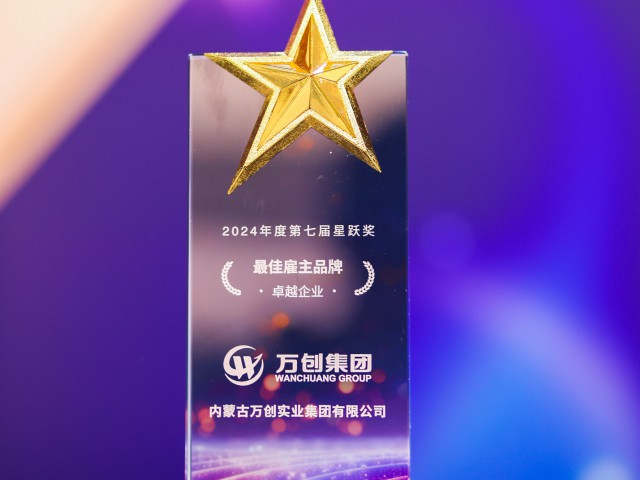 肯耐珂薩星躍獎_最佳雇主品牌卓越企業(yè)獎