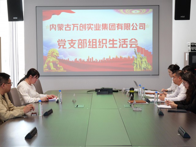 堅守理想信念 嚴(yán)守黨紀(jì)黨規(guī) | 萬創(chuàng)集團(tuán)黨支部召開2024年度組織生活會