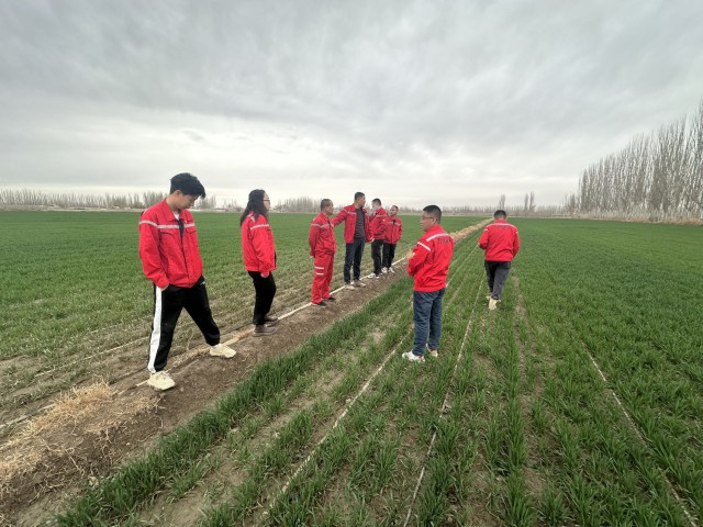 一線紀(jì)實 | 麥田與沙海間的雙重使命